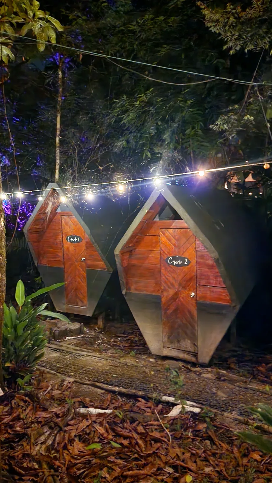 Conjunto de pequeñas cabañas de madera entre árboles tropicales.