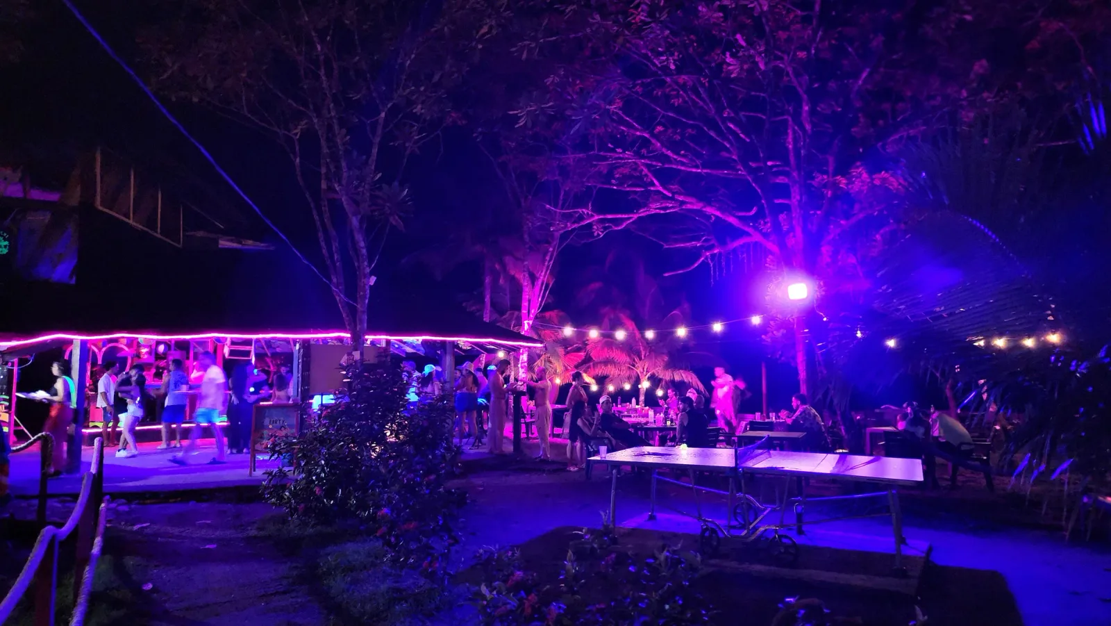 Fiesta nocturna al aire libre con público, palmeras y luces de colores.