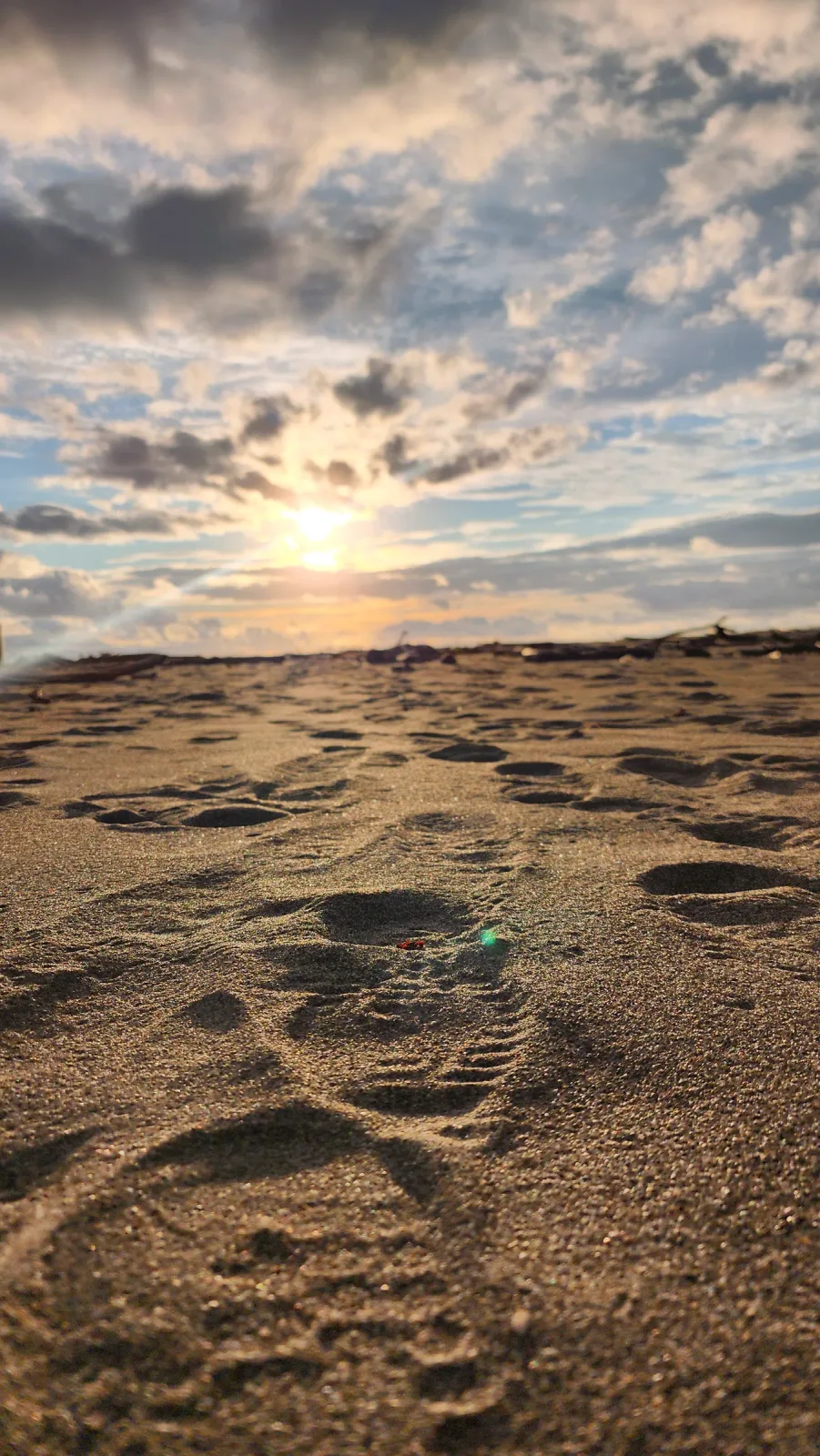 Huellas sobre la arena de la playa iluminadas por el atardecer.
