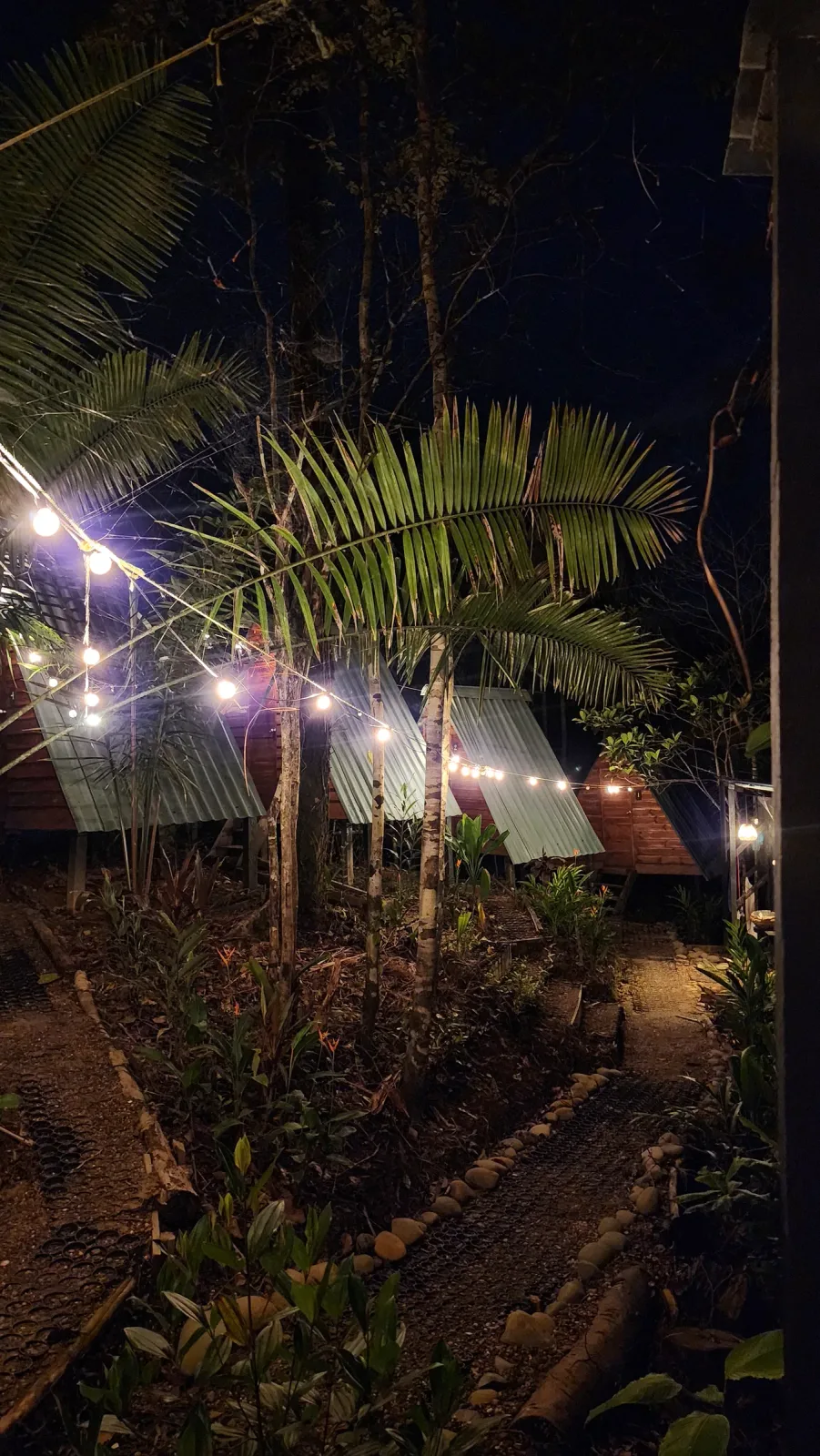 Cabañas entre la vegetación iluminadas con luces cálidas durante la noche.