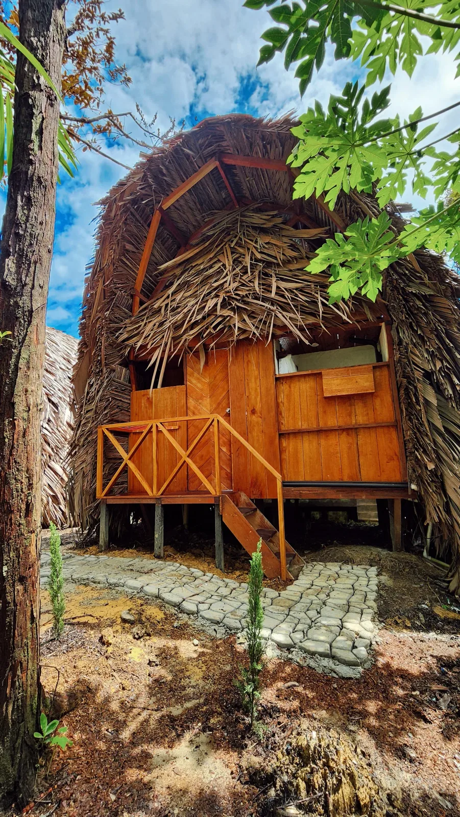 Cabaña de madera con techo alto de palma en medio del bosque.