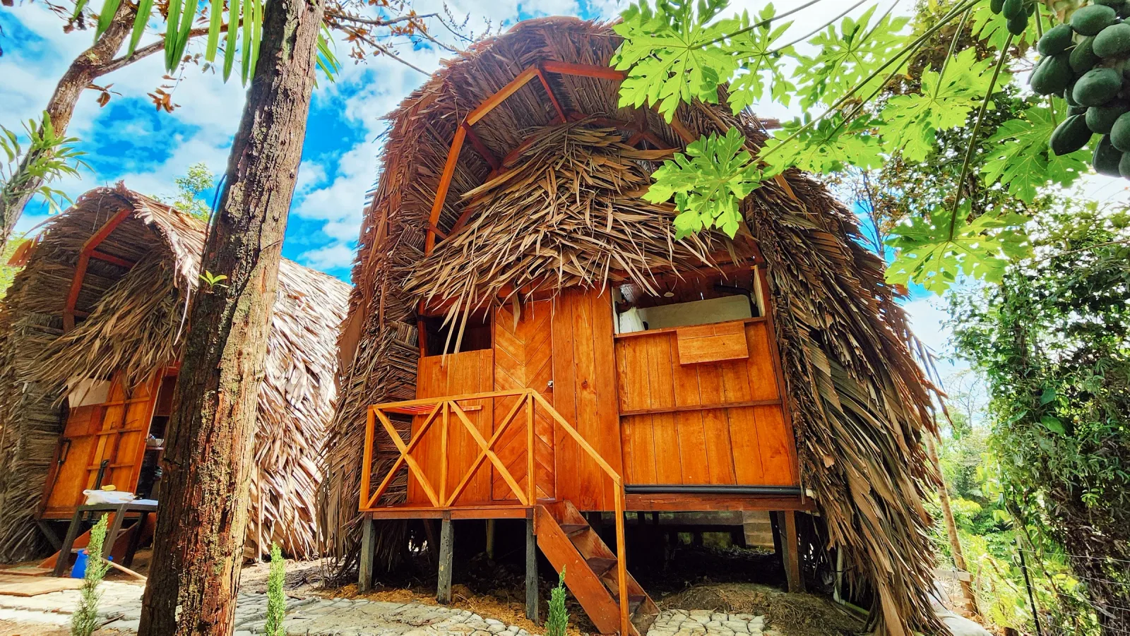 Cabaña tropical de madera con techo de palma entre árboles frutales.