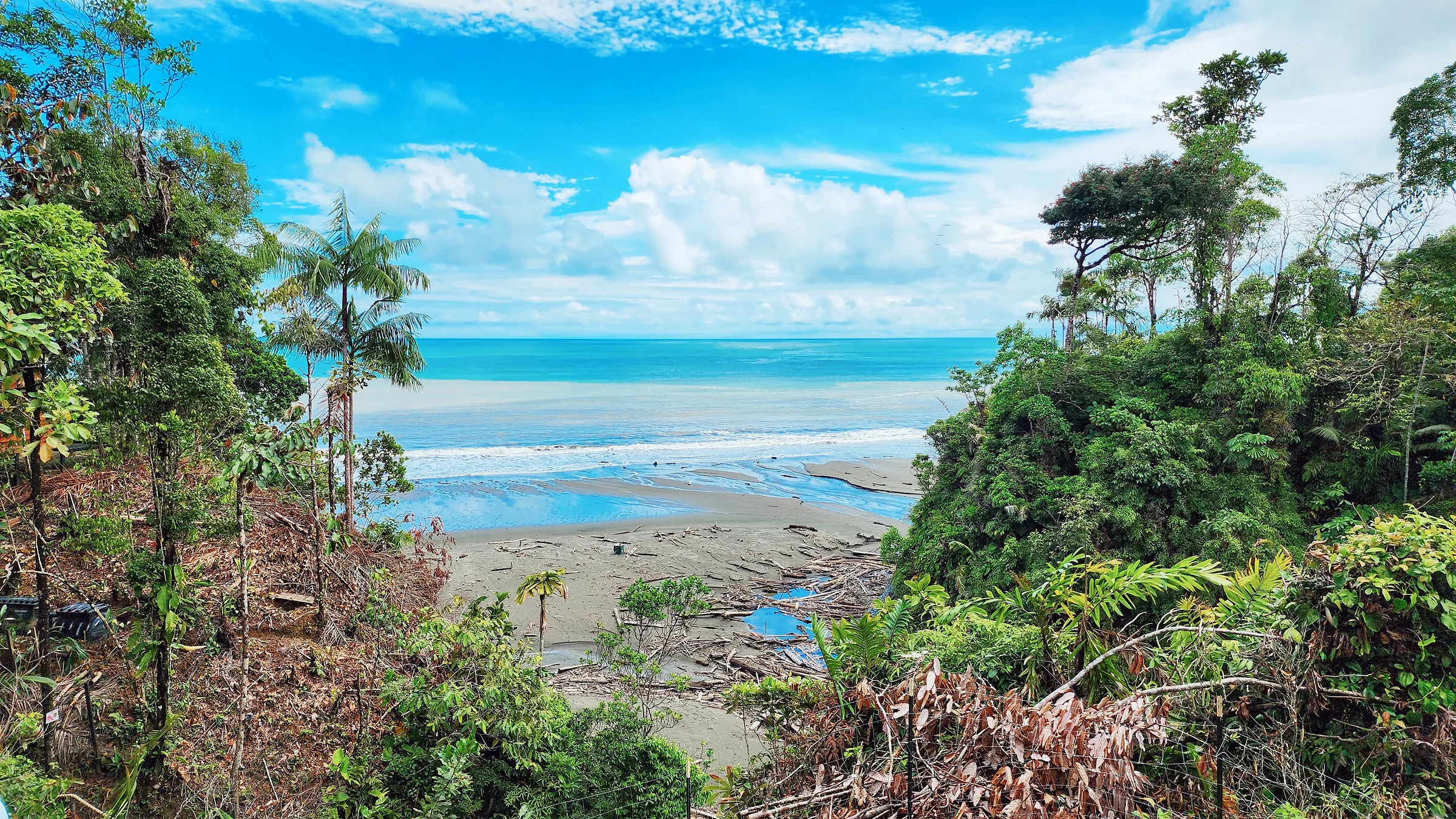 Vista de la playa y el océano desde la cabaña Mamámelo.