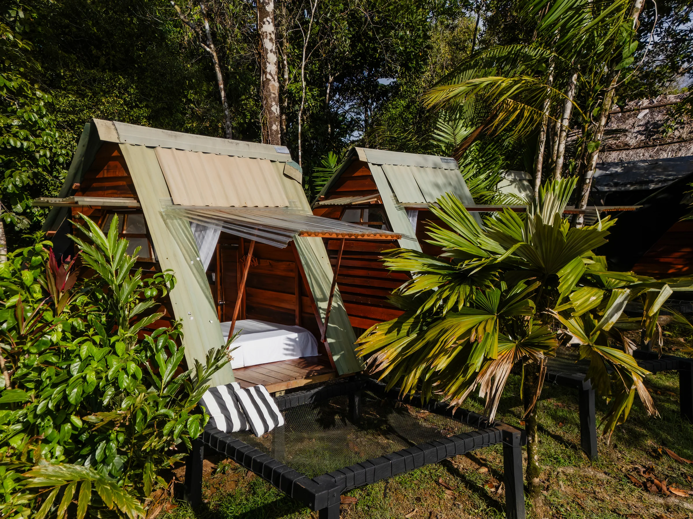 Vista aérea de las cabañas Alpina Deluxe integradas al bosque tropical.