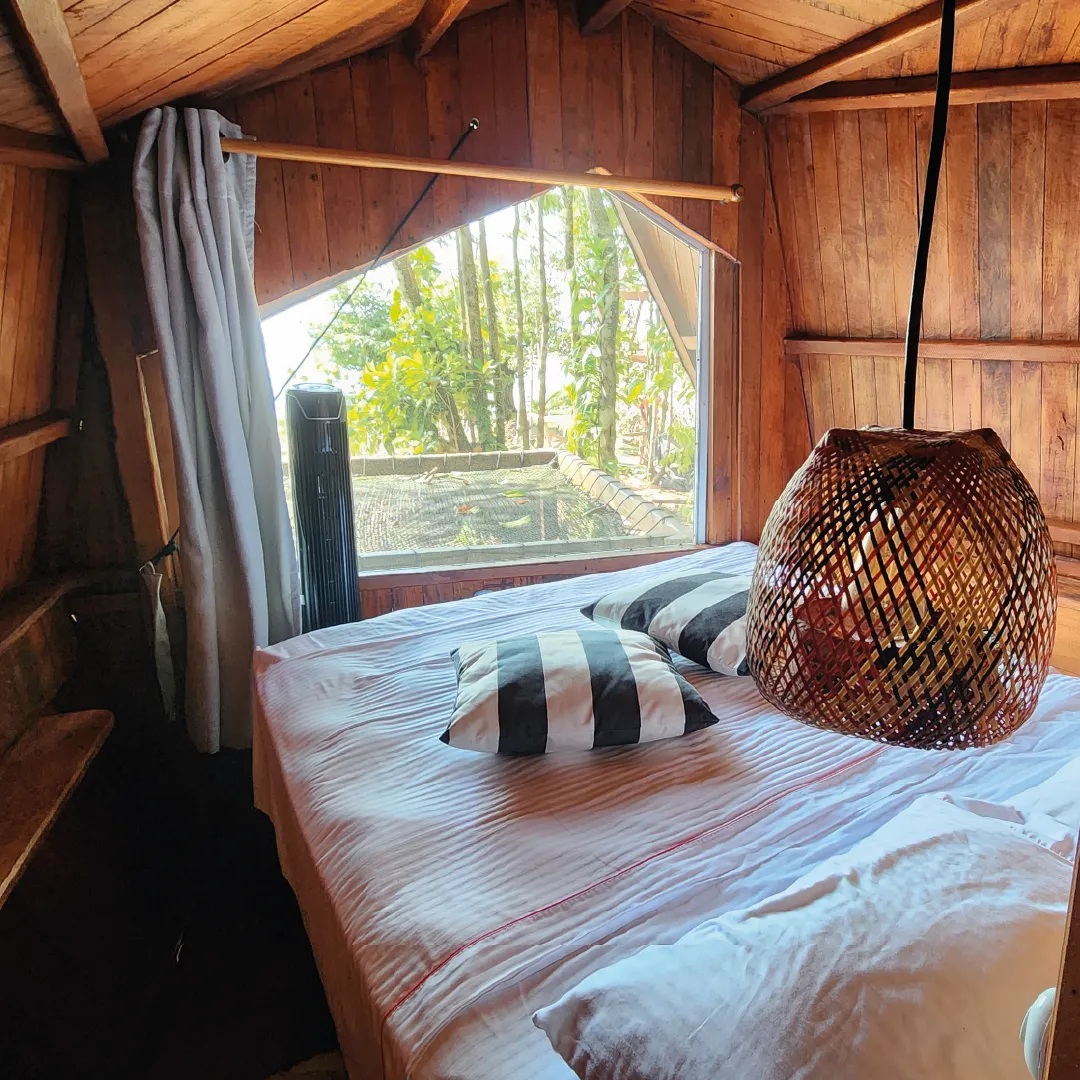 La Vaina Capsule