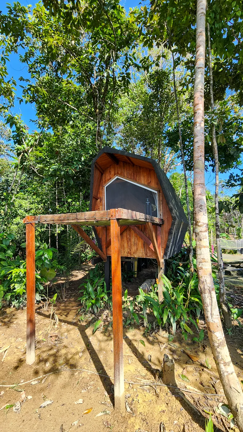 Cápsula La Vaina — foto 11