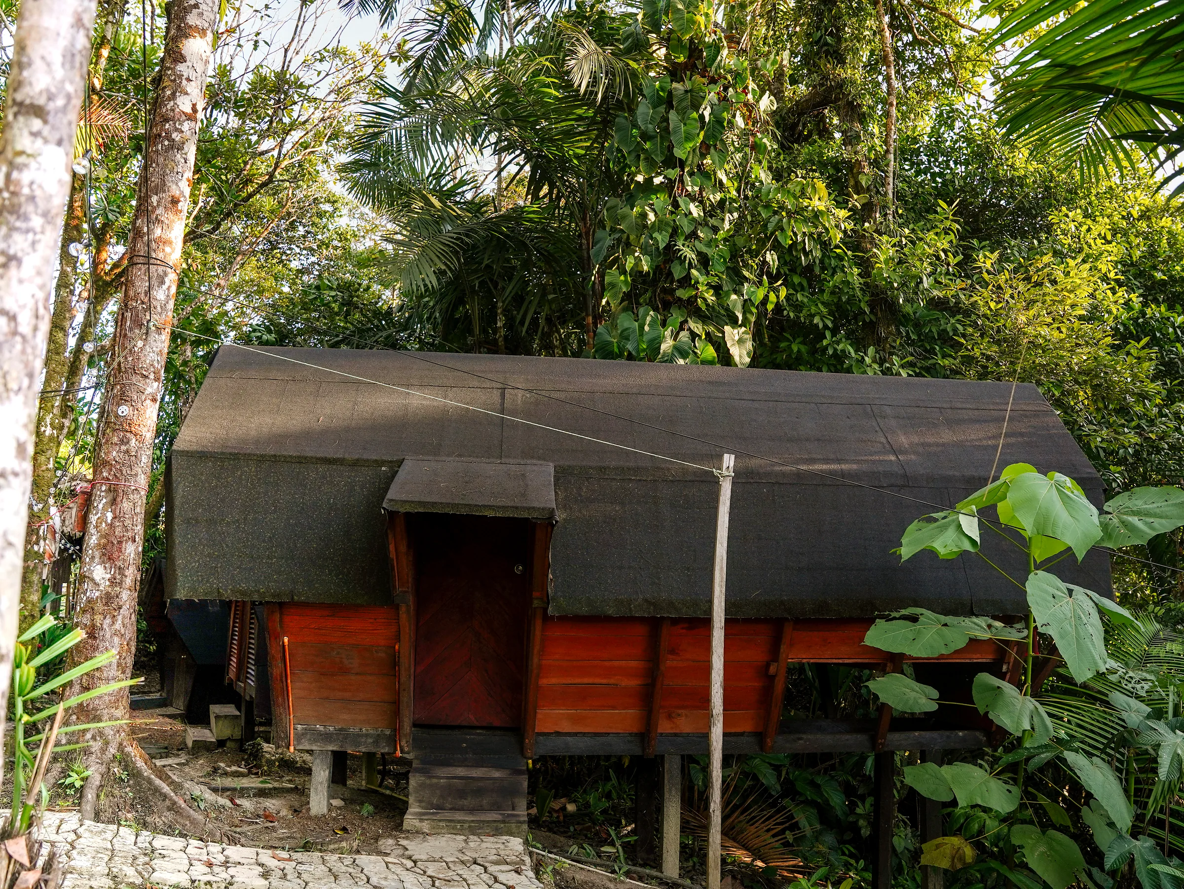 Fachada de la habitación Mandarina rodeada por bosque tropical.
