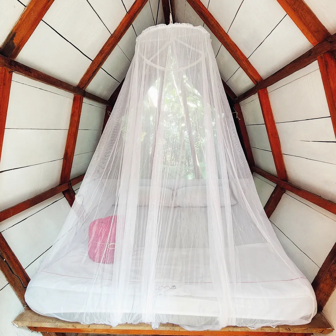 Jungle Capsule