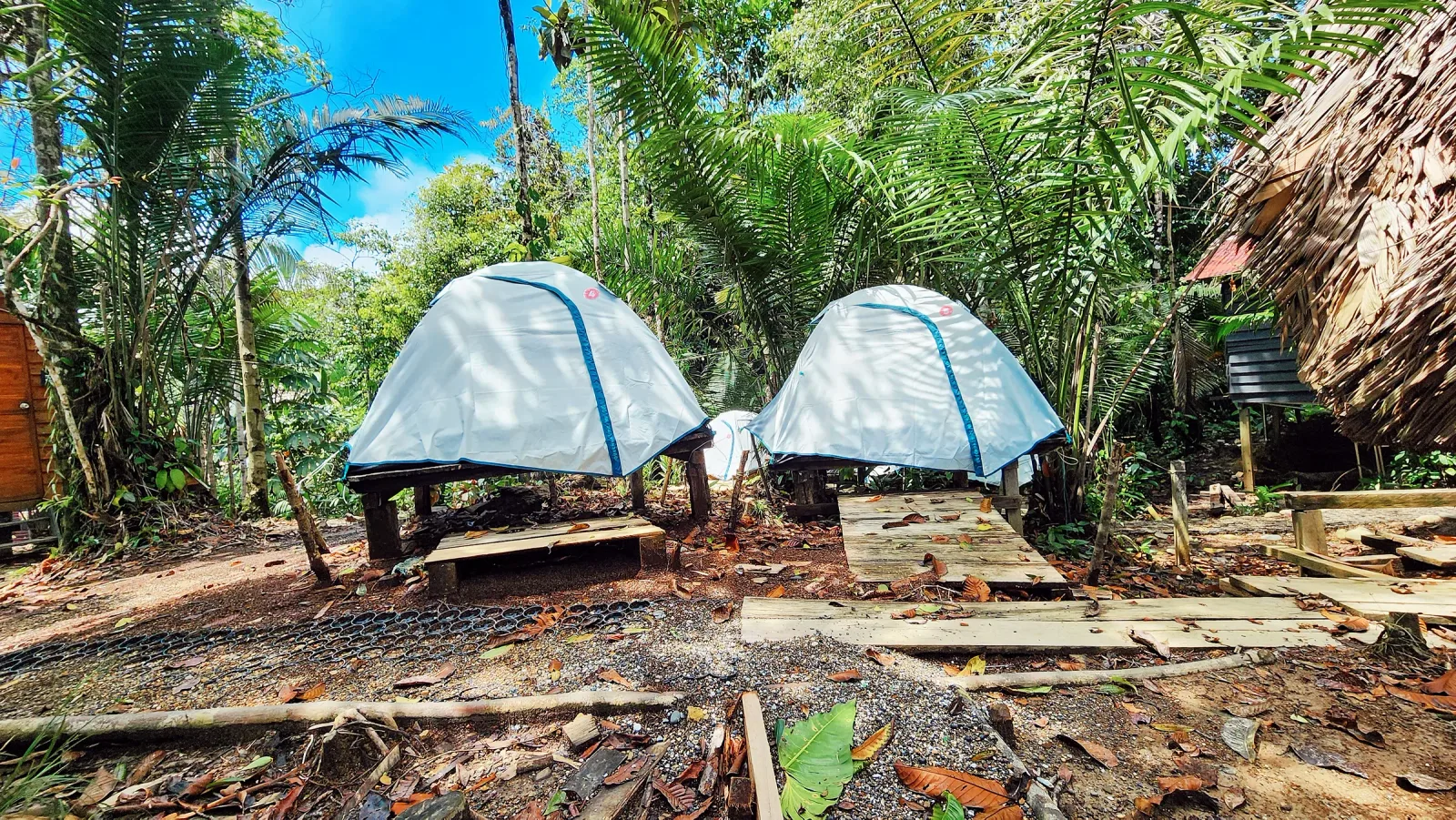 Dos carpas elevadas sobre plataformas rodeadas por vegetación.