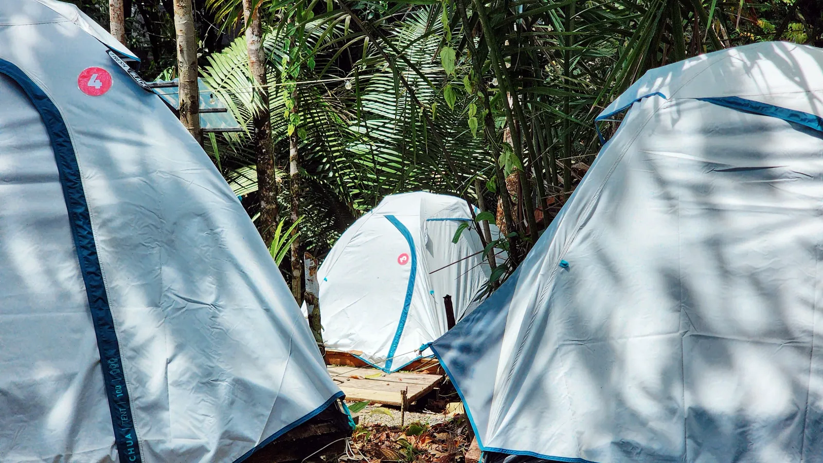 Conjunto de carpas blancas con bordes azules dentro del entorno tropical.