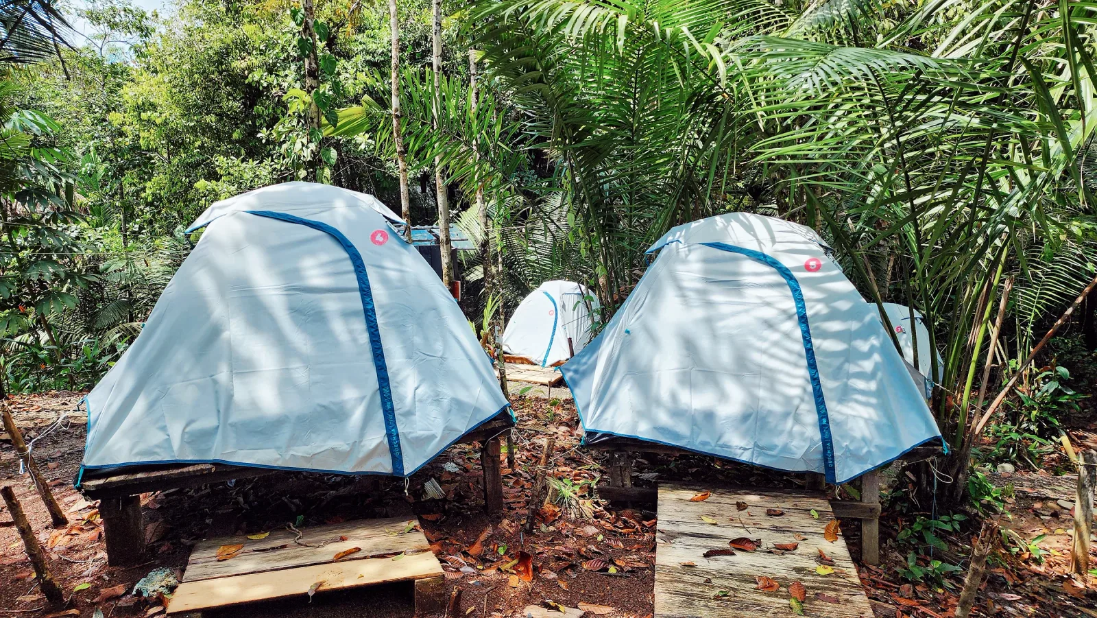 Dos carpas sobre bases de madera con accesos individuales.