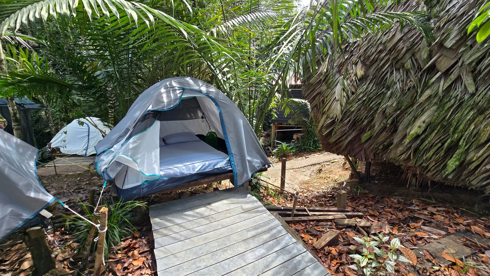 Carpa abierta al final de un sendero de madera dentro del bosque.