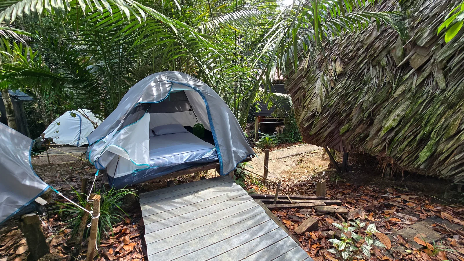 Acceso de madera hacia una carpa elevada entre palmeras.