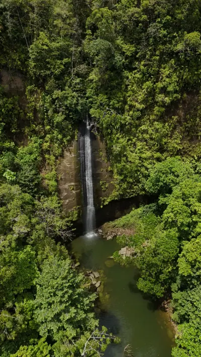 Cascada de agua dulce en la selva de Bahía Málaga