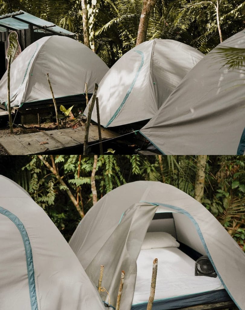 carpas habitaciones en melo hostel la barra
