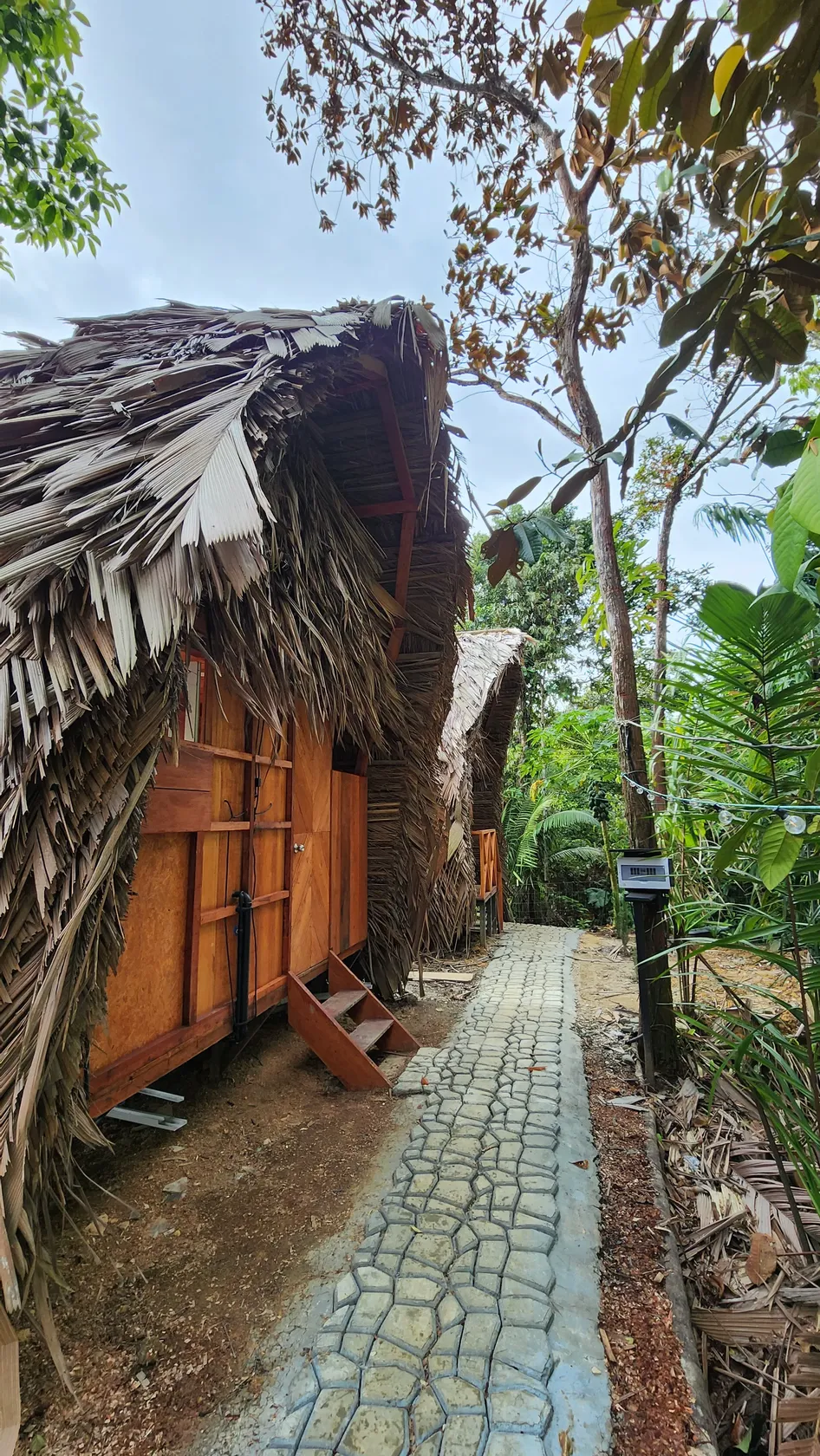 bungalow madera melo hostel colombia res