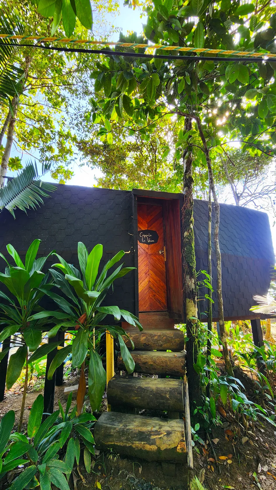 capsula la vaina exterior melo hostel colombia