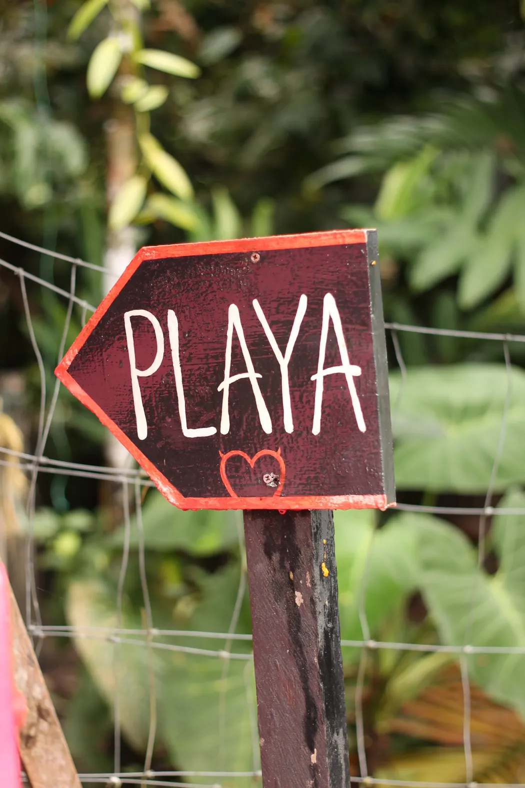 cartel playa melo hostel colombia res