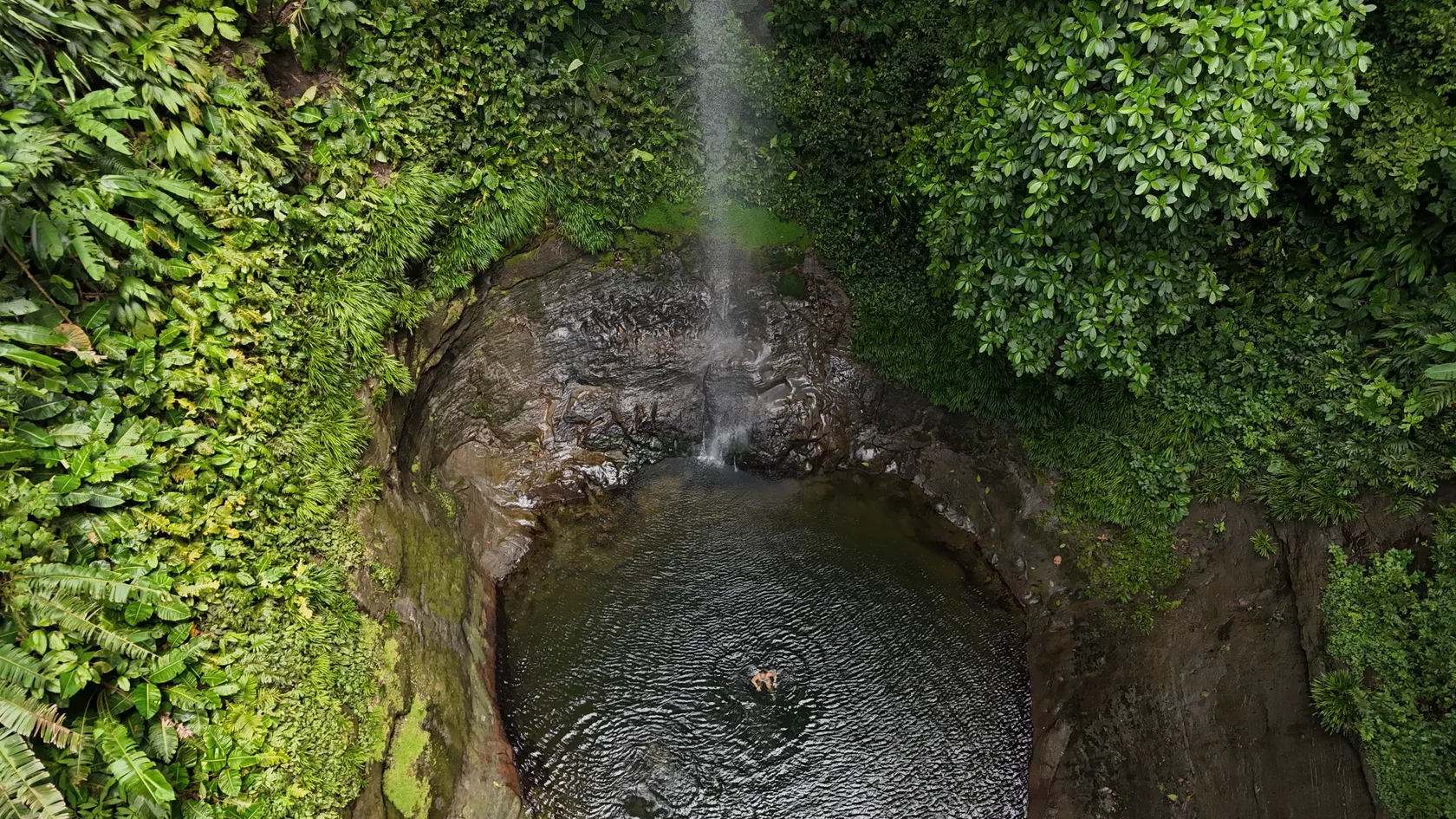 cascada agua mujer que nada colombia res