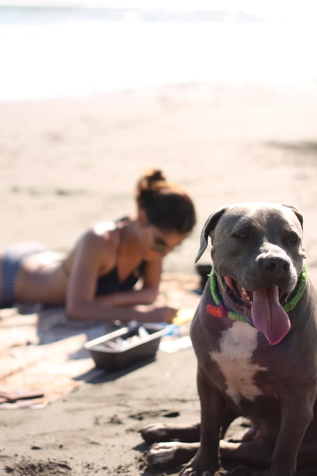 mujer con su perro en la playa melo hostel colombia res