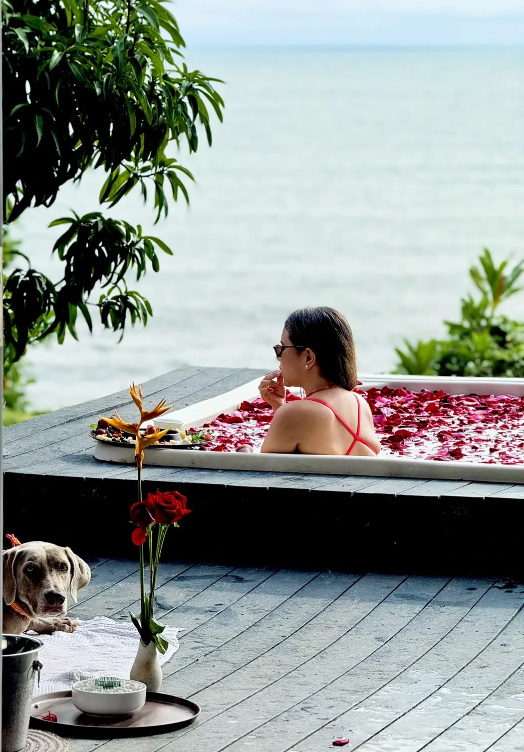 mujer que come en la piscina con perro melo hostel colombia res