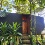 La Vaina melo party hostel 2